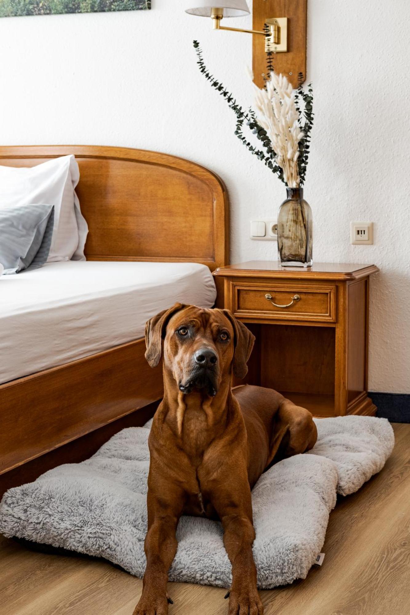 Hotel Goldener Hirsch Кауфбойрен Экстерьер фото